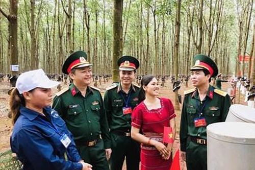 Khai mạc Hội thi thợ giỏi khai thác mủ cao su năm 2020
