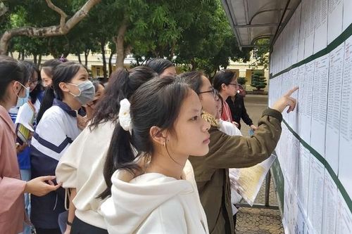 Nghệ An: Trường THPT Huỳnh Thúc Kháng dẫn đầu thi học sinh giỏi tỉnh lớp 12