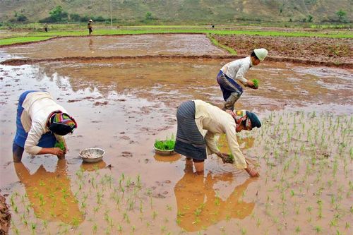 Niềm tin văn hóa trong phục sức đẹp của người Thái Tây Bắc