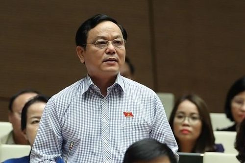 Nhìn hậu quả mưa lũ miền Trung, thấm thía cái giá của mất rừng