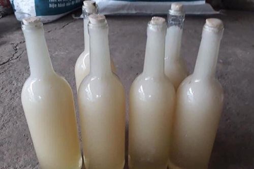 Mật ong trắng như sữa: Mỗi năm chỉ 1 lần, hàng hiếm từ đỉnh núi mây