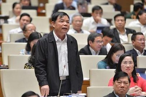 ĐBQH Nguyễn Thanh Hải: 'Bà mẹ thiên nhiên đã trở nên giận dữ hơn bao giờ hết'
