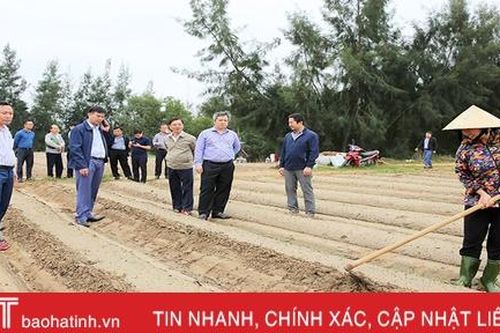 Chủ tịch UBND tỉnh Hà Tĩnh kiểm tra, động viên người dân Thạch Hà khôi phục sản xuất