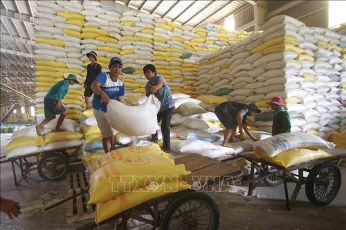 Xuất khẩu nông sản Việt Nam hướng tới mục tiêu 40 tỷ USD