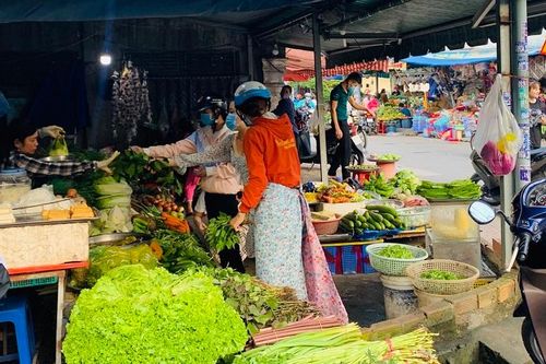 TP Hồ Chí Minh: Giá rau xanh giảm mạnh nhưng vẫn ở mức cao