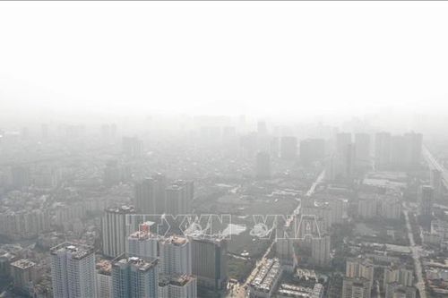 Các chuyên gia cung cấp thêm thông tin, kiến nghị Quốc hội xem xét chưa thông qua Dự thảo Luật Bảo vệ môi trường (sửa đổi)