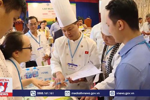 Tìm giống gạo ngon nhất Việt Nam đi tranh đấu quốc tế