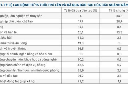 AI nhìn từ thị trường lao động