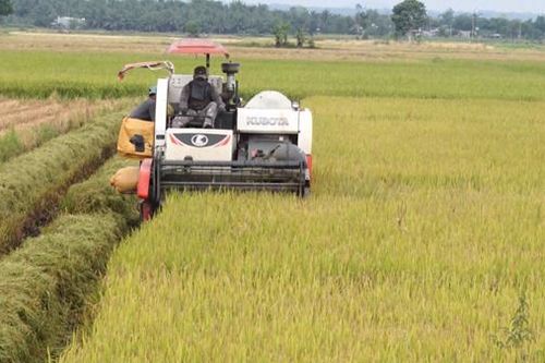 Xuân Lộc với cuộc ''cách mạng'' nông nghiệp sạch
