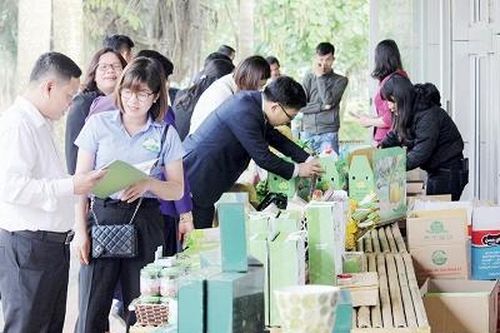Kỳ II: Tối ưu nguồn lực, đa dạng lĩnh vực