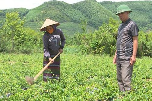 Hồ Văn Vìa - 'Ông dân vận của bản'