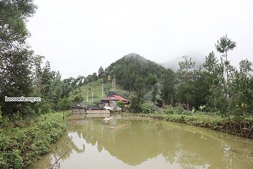 'Đuốc sáng' vùng cao Long Hẹ