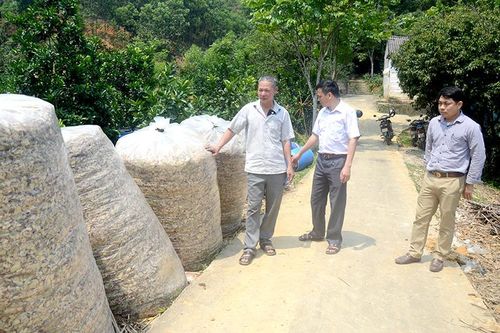 Không để vật nuôi bị đói, rét trong mùa đông