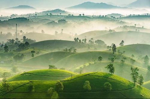 Ảnh Việt Nam, giải quốc tế