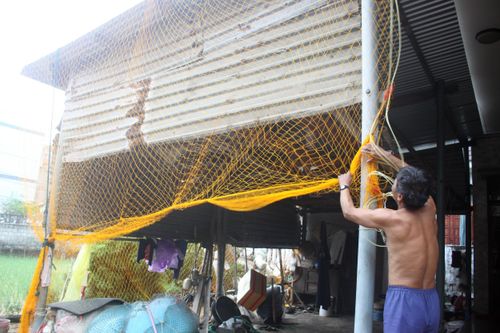 Giăng lưới, cột dây chằng chống nhà cửa ứng phó bão số 10