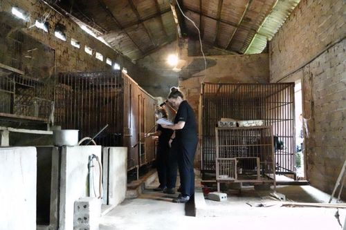 Cứu hộ 2 cá thể gấu ngựa, đặt tên là Bão và Lũ để ủng hộ đồng bào Miền Trung