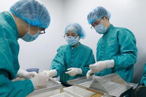 Việt Nam sản xuất vắc-xin Covid-19: Đang thử nghiệm trên khỉ, sắp thử trên người