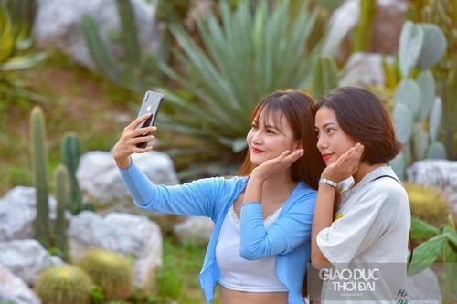 Khu vườn xương rồng đẹp như Đà Lạt: Nơi 'sống ảo' được giới trẻ thủ đô săn lùng