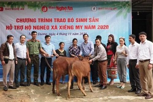Báo Nghệ An trao tặng bò giống cho hộ nghèo ở huyện Tương Dương