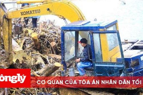 Quảng Ngãi: Lũ rút, gỗ 'vây kín' chân cầu