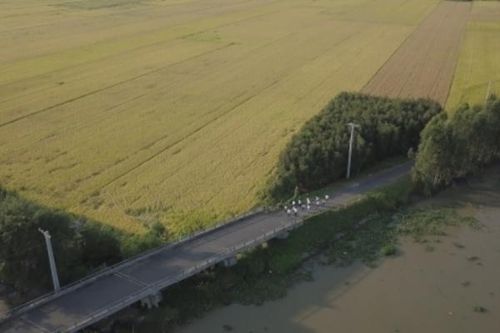 'Mekong Delta Marathon' Hậu Giang 2020: 'Mỗi vận động viên chạy-1 cây xanh được trồng, mỗi bước chạy-một tấm lòng được sẻ chia về miền Trung'