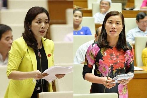 Quốc hội, rừng, thủy điện nhỏ và lũ lụt