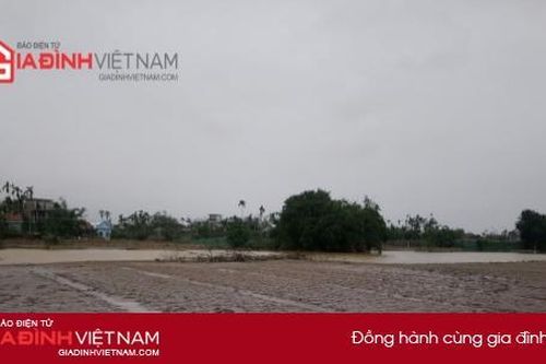 Vựa rau má hàng tỷ đồng tan hoang sau lũ