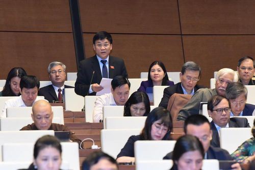 Đại biểu Quốc hội tỉnh Nghệ An phản ánh những tồn tại, bất cập trong xây dựng nông thôn mới