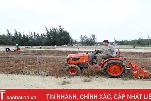 Nông dân Hà Tĩnh khẩn trương ra đồng khôi phục sản xuất