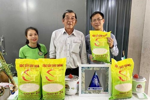 Đi tìm giống gạo ngon nhất Việt Nam để cạnh tranh trên trường quốc tế