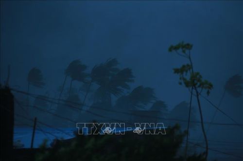 Cần nhiều tháng để khôi phục lưới điện bị siêu bão Goni tàn phá trên đảo của Philippines