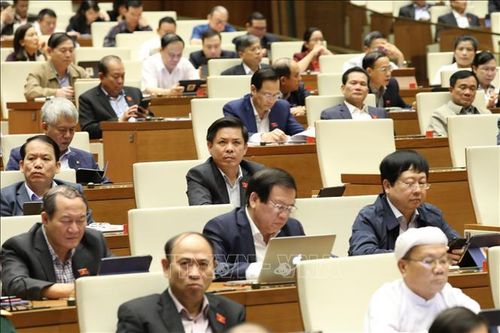 Cử tri Ninh Thuận, Bình Dương đánh giá cao kết quả phát triển kinh tế - xã hội