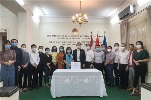 Nghĩa tình cộng đồng người Việt tại Ai Cập hướng về đồng bào miền Trung