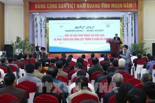 Thâm canh cây trồng giá trị cao, quy mô lớn theo VietGAP