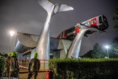 Tượng đuôi cá voi khổng lồ ở Hà Lan cứu tàu metro thoát khỏi thảm kịch một cách 'thần kỳ'
