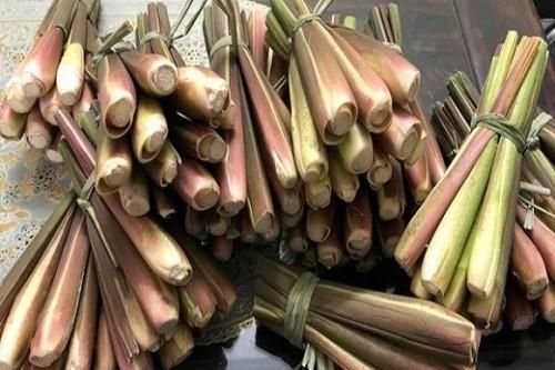 Củ niễng: Từ bùn đất quê nhà, đến 'vua rau' nơi phố thị, dân buôn bỏ túi vài chục triệu một vụ