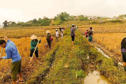 Nhân dân góp sức xây dựng đường giao thông nông thôn