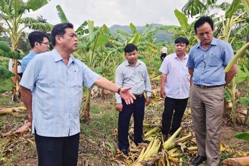 Gia Lai sẵn sàng ứng phó với bão số 10
