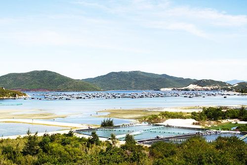 Triển khai thủ tục chấm dứt 2 dự án chậm tiến độ tại khu vực bắc Vân Phong