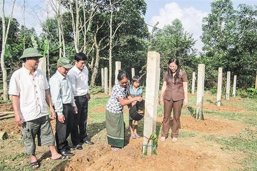Điểm sáng trong nỗ lực giảm nghèo ở Vĩnh Linh