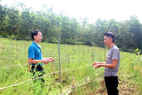 Chú trọng phát triển kinh tế tập thể