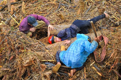 Sau mưa lũ, gỗ rừng dày đặc trên sông ở Quảng Ngãi