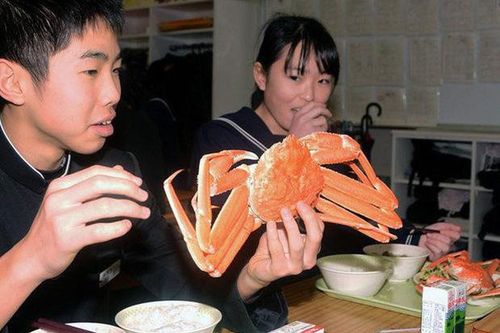 Bữa trưa đặc biệt với tôm hùm, cua tuyết của trẻ em Hàn Quốc, Nhật Bản