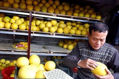 Truy xuất nguồn gốc nông sản: Doanh nghiệp, người tiêu dùng hưởng lợi
