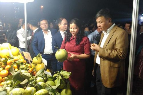 Khai mạc Tuần lễ văn hóa - thương mại - làng nghề quận Long Biên
