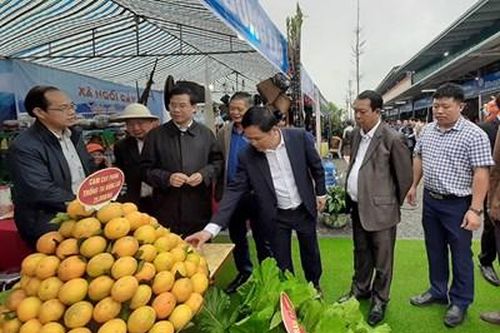 Ngày hội Văn hóa ẩm thực các dân tộc huyện Mường Ảng