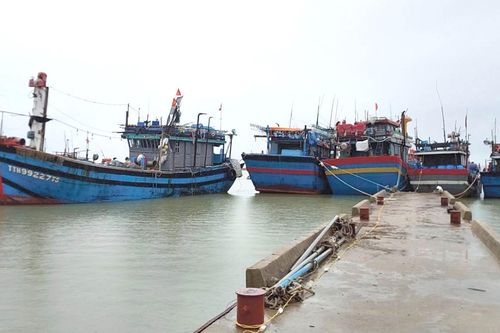Nhiều điểm neo đậu tàu thuyền ở Thừa Thiên Huế xuống cấp