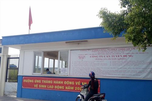 Doanh nghiệp ráo riết tuyển lao động: Thêm nhiều cơ hội việc làm