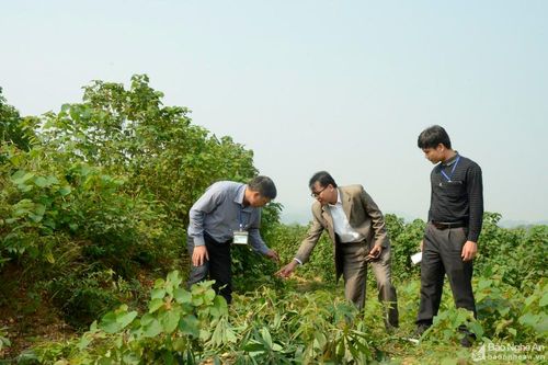 Kết hợp nhuần nhuyễn giữa lý luận và thực tiễn trong công tác tuyên giáo