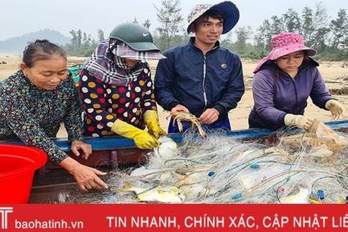 Ngư dân Song Yên vui như hội vì trúng cá chim vàng